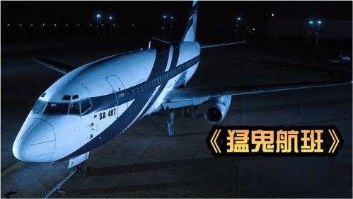 407航班在线观看,空中惊魂时刻的实时直播回顾